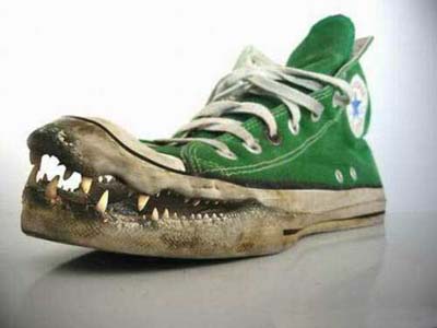 corocodile or alligator converse funny shoes
