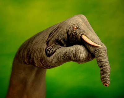 Gajah dilukis di atas tangan 