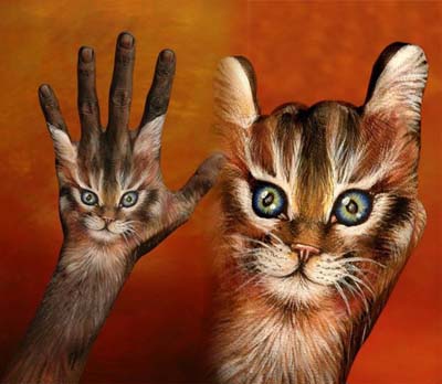 Kucing dilukis di atas tangan 