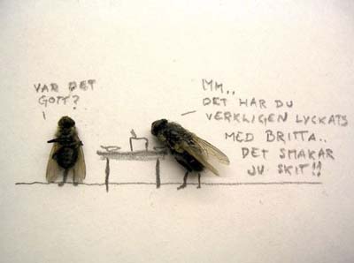 anak lalat dan mak lalat