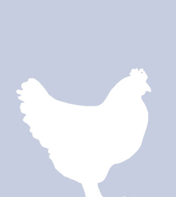 facebook cap ayam facebook cap ayam