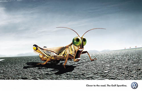 Volkswagen Golf Sportline: Grasshopper