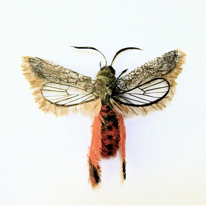 model serangga 5
