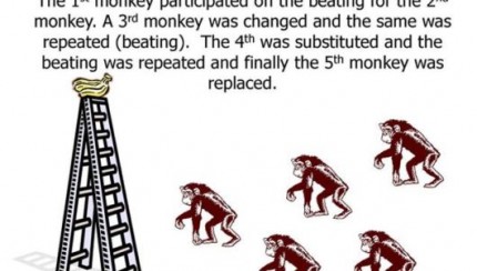 Kisah tauladan 5 ekor monyet 6