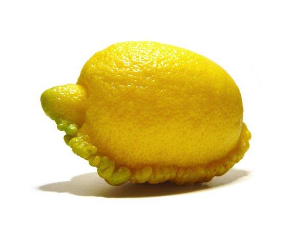 karipap-karipap lemon hahaha