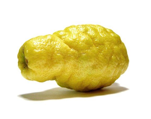 weird lemon 