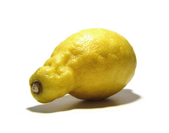 lemon-lemon cinta haha