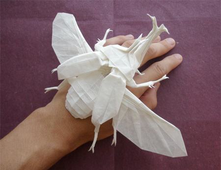 origami kumbang