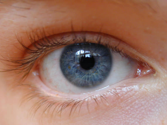 gambar mata 20++ Fakta Menarik Tentang Mata Manusia