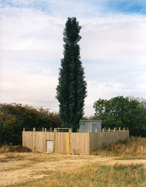 Camouflaged-Cell-Towers-03