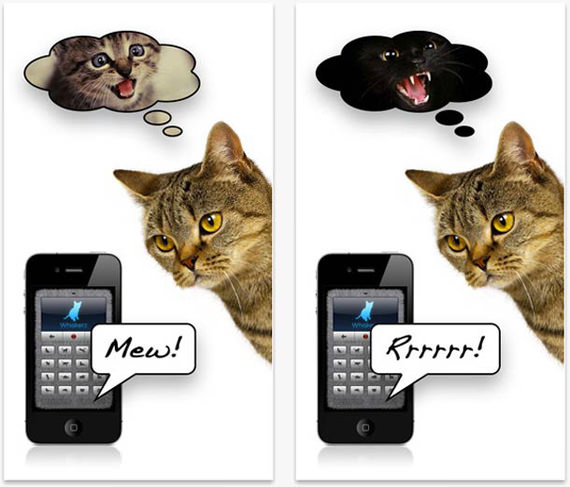 human-to-cat-translator-3