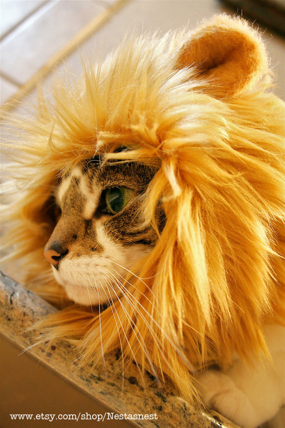 topi singa topi singa Topi Singa Khas untuk Kucing Comel Anda