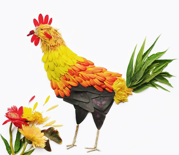ayam jantan Gambar Burung yang Sangat Cantik Dihasilkan Daripada Kelopak Bunga
