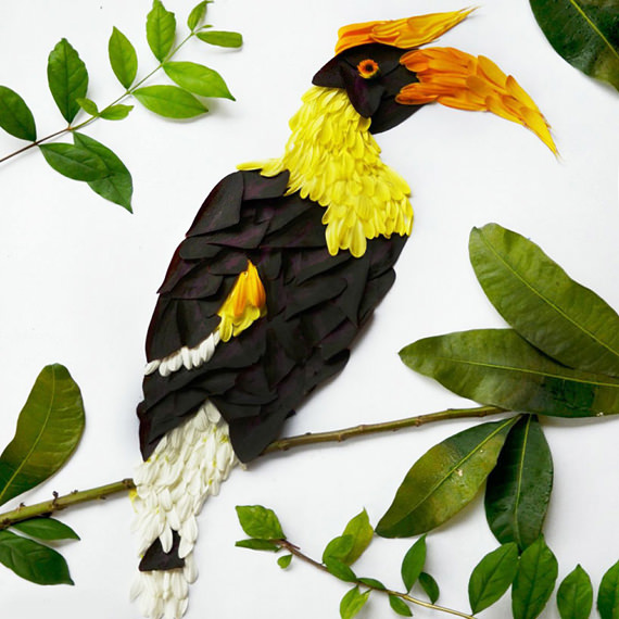 burung kenyalang Gambar Burung yang Sangat Cantik Dihasilkan Daripada Kelopak Bunga