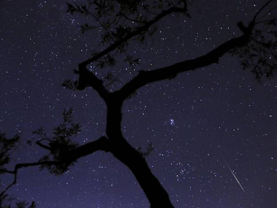 Pancuran meteor di belakang pokok zaiton di Greece