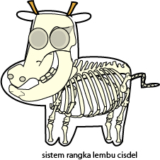 cisdel sistem rangka