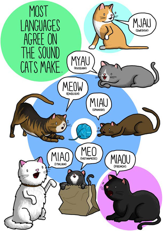 bunyi kucing pelbagai bahasa