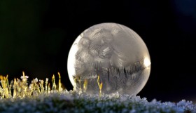 frozen in a bubble