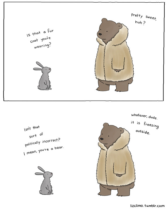 beruang pakai sweater