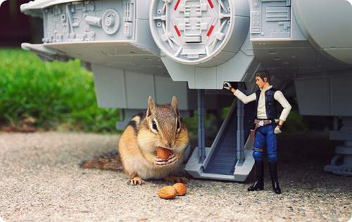 cuba berbaik-baik dengan Han Solo