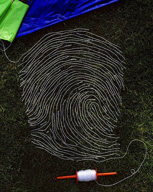 fingerprint8
