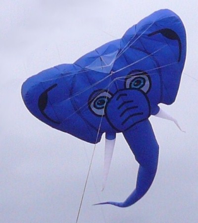kites-14