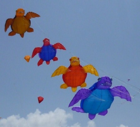 kites-3