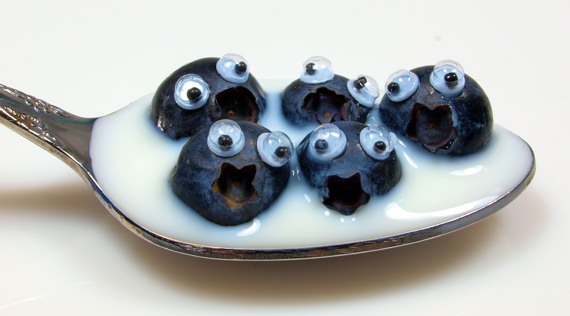 blueberry rendam comel 