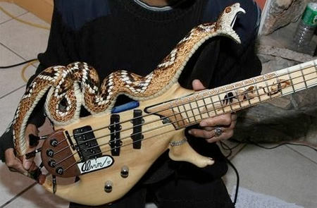 snake guitar