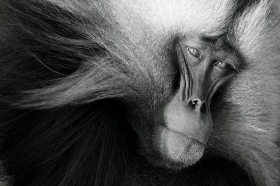 national geographic photo contest 07
