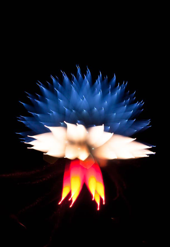 Fireworks-long-exposure-2