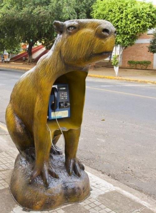 funny-phone-booths-bizarre-10