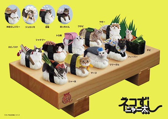 koleksi sushi kucing